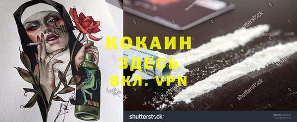 прущие грибы Алексин
