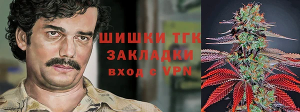 spice Алзамай